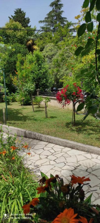 Apartment Jozefina بوريتش المظهر الخارجي الصورة