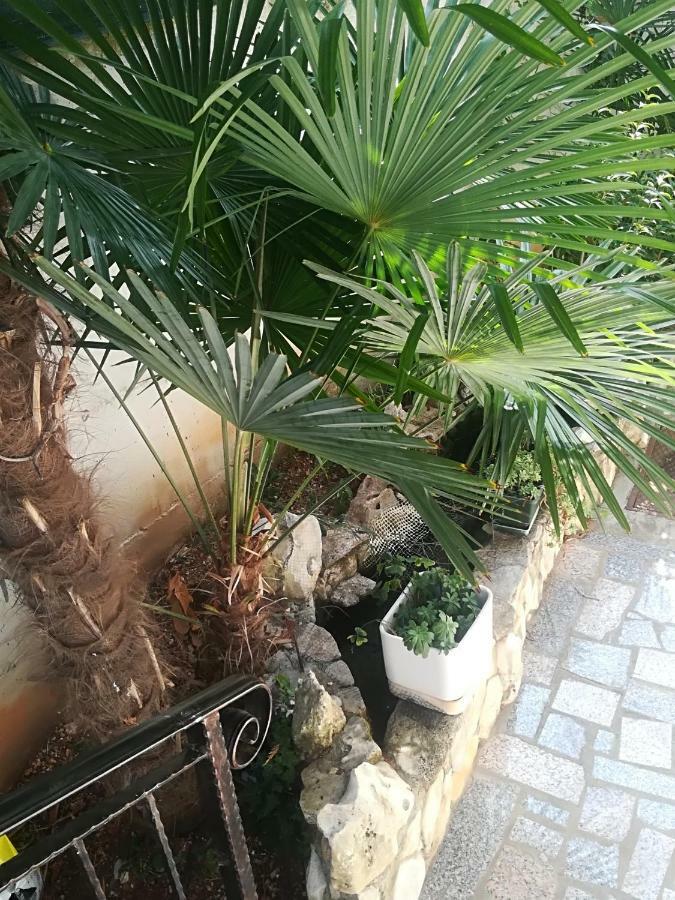 Apartment Jozefina بوريتش المظهر الخارجي الصورة